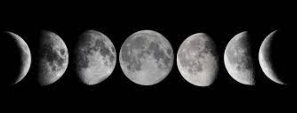 SEXY MEMOIRS CHAPTER 2: A ROCK AND A HARD…PLACE